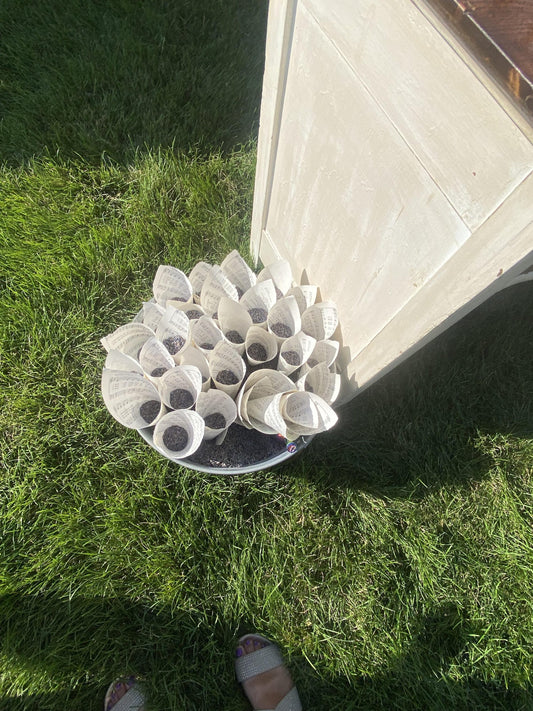 Medium Round Galvanized Tub