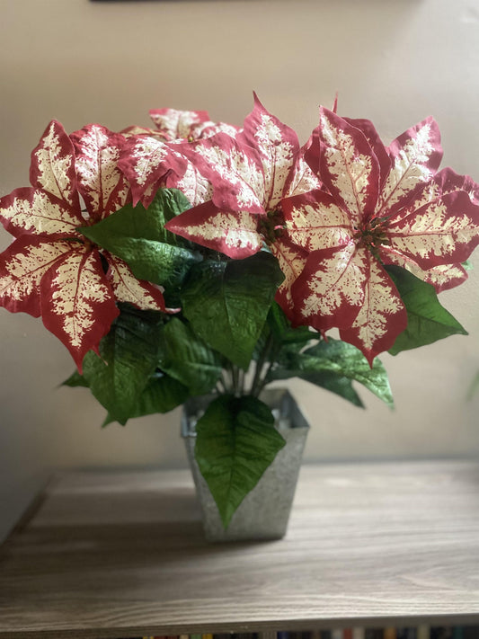 Poinsettia Centerpieces