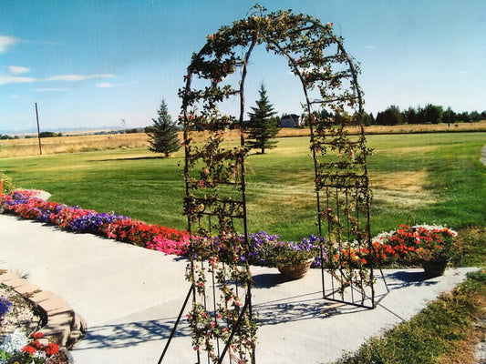 Rose Garden Arch