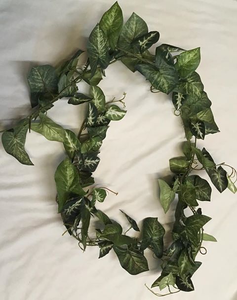Arrowhead Vine Garland