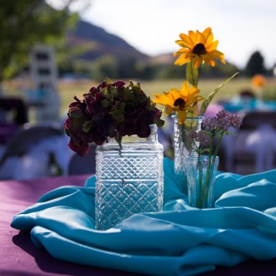 Variety Single Stem Vases