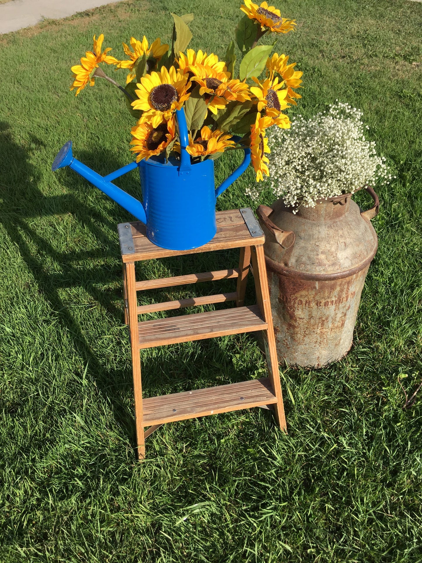 Rustic Step Ladder