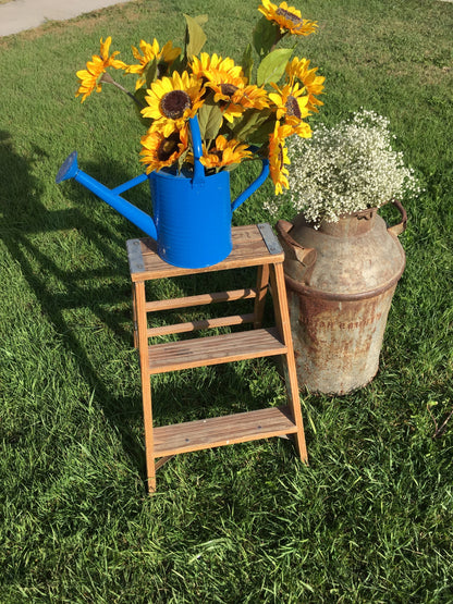 Rustic Step Ladder