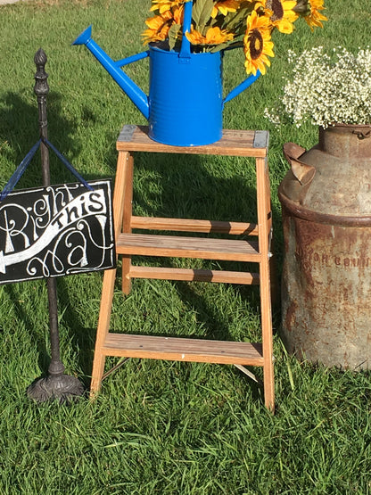 Rustic Step Ladder