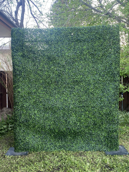 Boxwood Greenery Wall