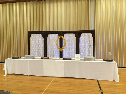 Cool LED Curtain Lights