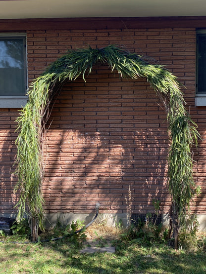 Woven Branch Arch