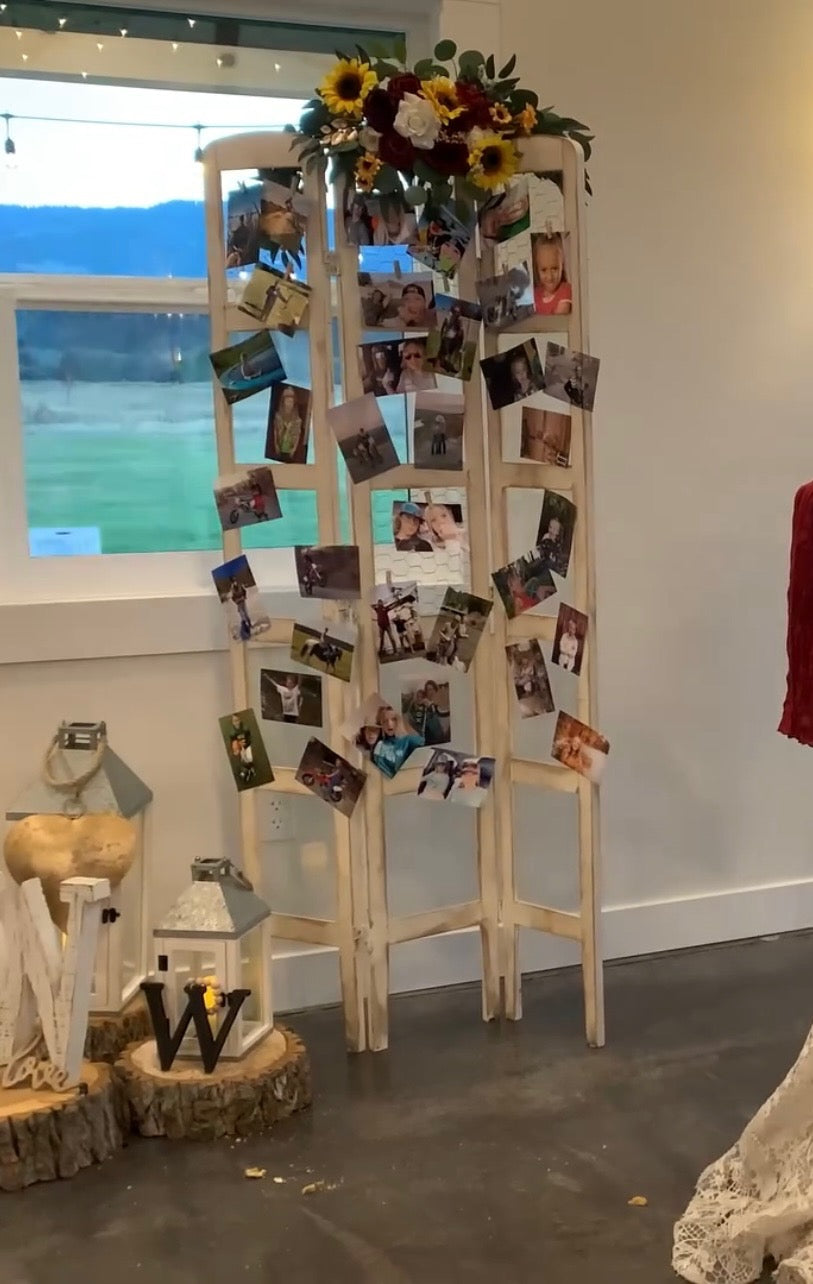 Chicken Wire Picture Display