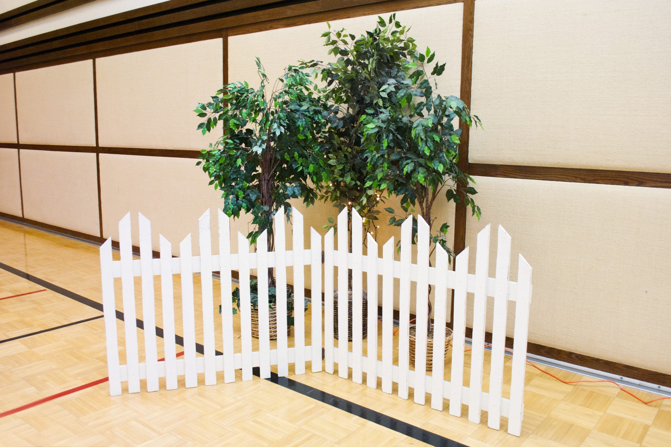 5' Ficus Tree – Rigby Wedding Rentals