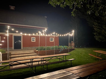 Edison Globe Light Strand