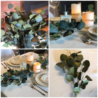Eucalyptus Greenery Stems