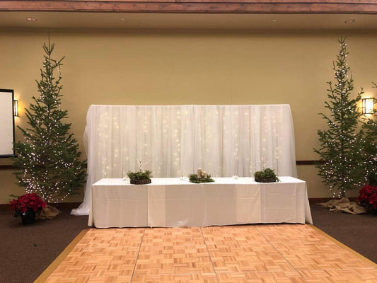 Sheer Lighted Backdrop