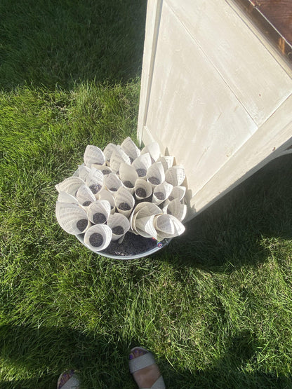 Medium Round Galvanized Tub