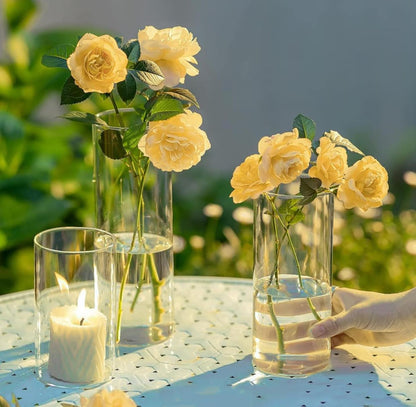Glass Cylinder Vase Set