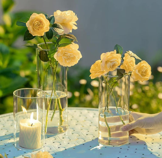 Glass Cylinder Vase Set