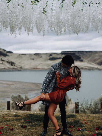 Lighted Wisteria Canopy