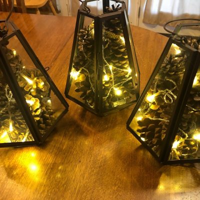 Terrarium Lanterns
