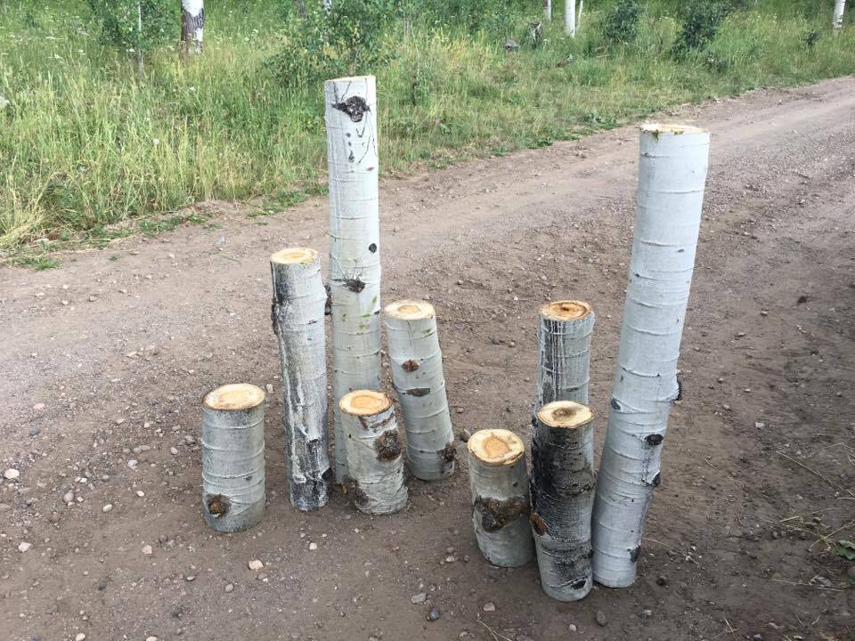 Aspen Logs