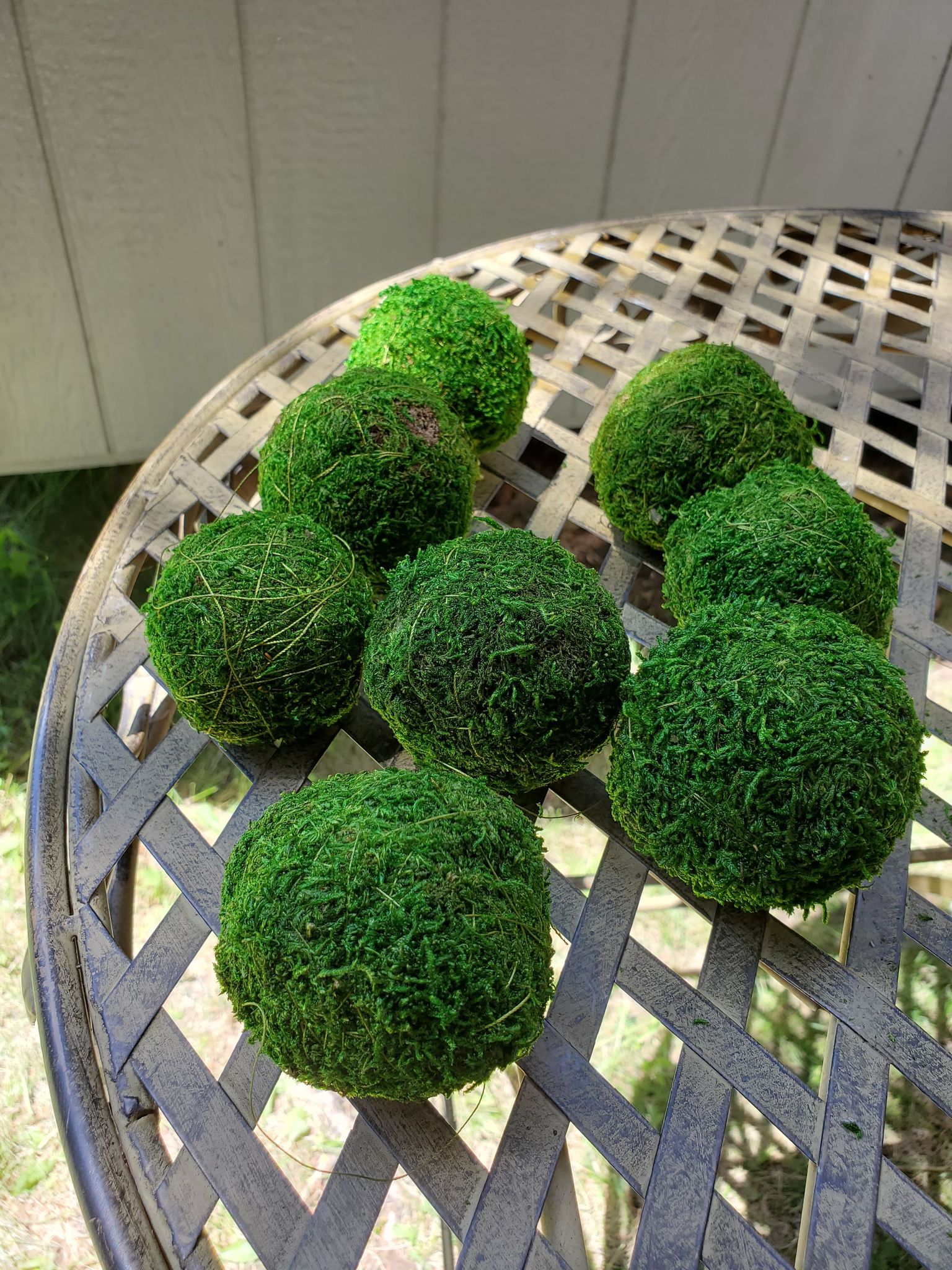 Green Moss Balls