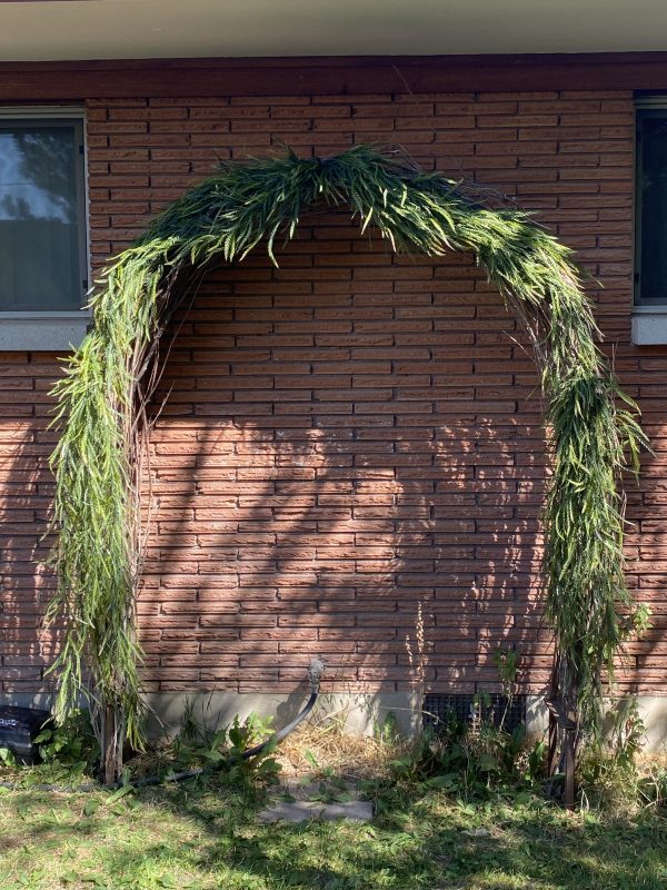 Woven Branch Arch - Image 2